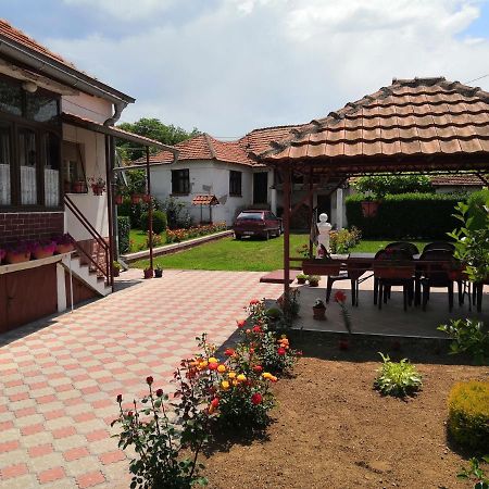 Kuca Mijalkovic Apartamento Pirot Exterior foto