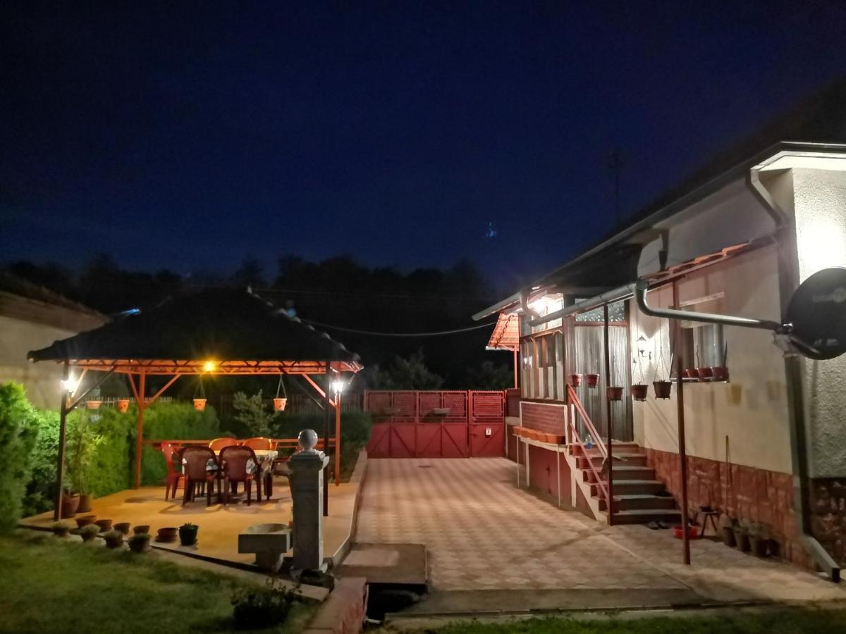 Kuca Mijalkovic Apartamento Pirot Exterior foto
