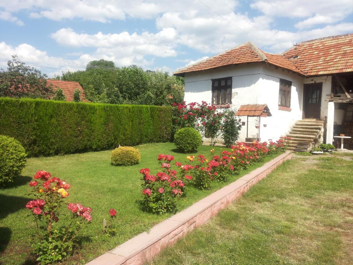 Kuca Mijalkovic Apartamento Pirot Exterior foto